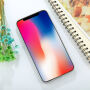 dekking voor iPhone XS/iPhone X X - blauw met flamingo's